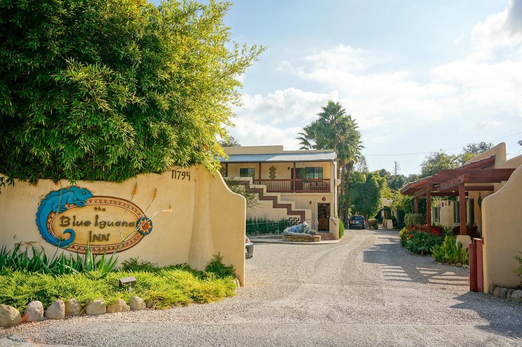 Blue Iguana Inn Ojai Exterior photo